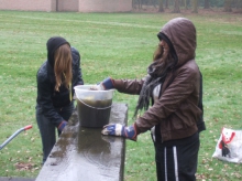 ZNA Middelheim is actief in het park